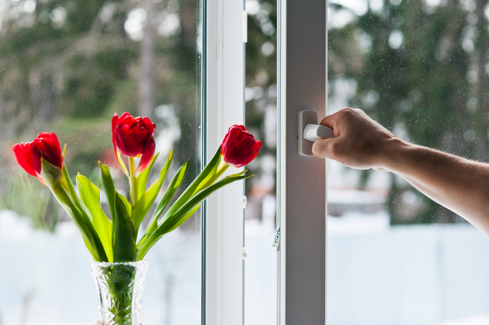 Tilt and Turn Window Derby